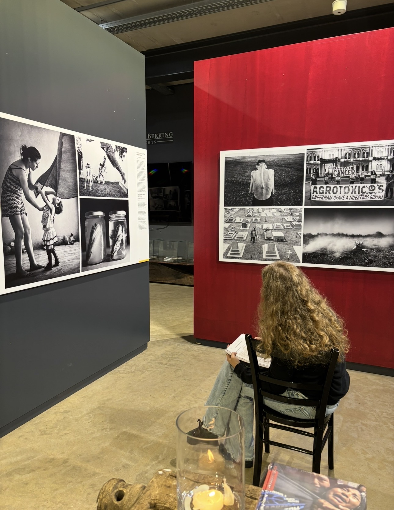 gallery3
